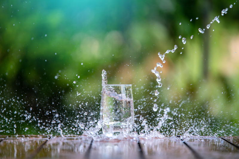 Wir nehmen tatsächlich nur 3 – 5 % des Tagesbedarfs an Trinkwasser als „Lebensmittel“ zu uns. Wir nehmen tatsächlich nur 3 – 5 % des Tagesbedarfs an Trinkwasser als „Lebensmittel“ zu uns.