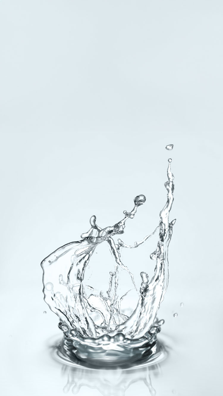 Foto: Pixel-Shot | adobe stock Foto: Pixel-Shot | adobe stock