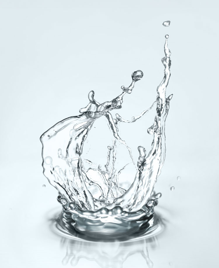 Foto: Pixel-Shot | adobe stock Foto: Pixel-Shot | adobe stock