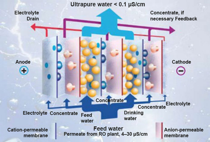 Structure and functional diagram of an electrodeionisation (EDI) system Structure and functional diagram of an electrodeionisation (EDI) system
