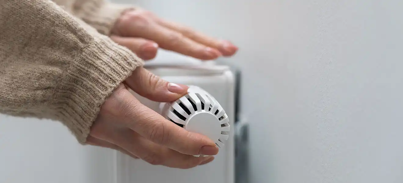 Foto: Angelov | adobe stock