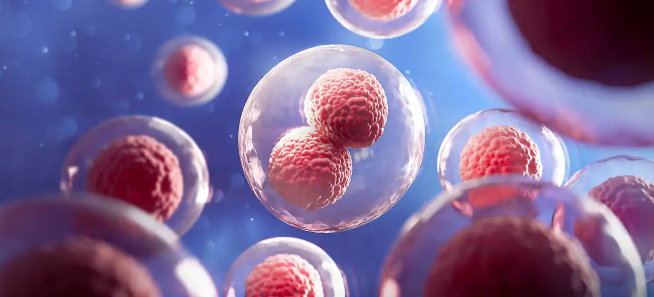 Foto: Anusorn | adobe stock